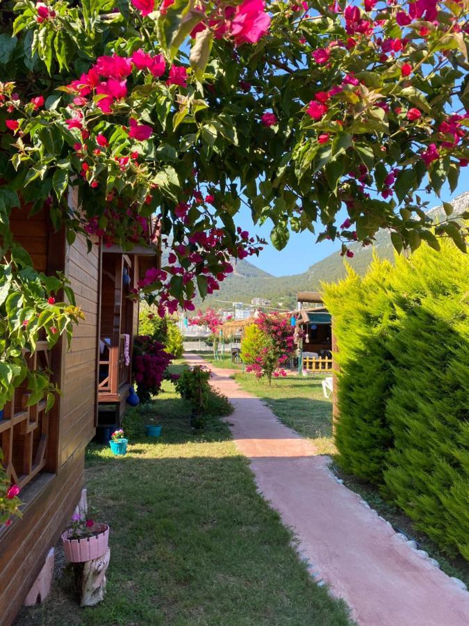 Karaoez Ada Bungalows & Villa Zewnętrze zdjęcie
